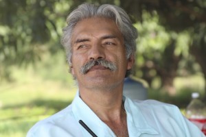 Mireles