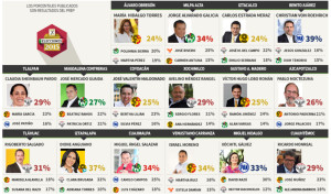 ELECCIONES DELEGADOS